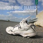 shoe258_sm Shoe #258, found on route 13 near Salisbury, MD