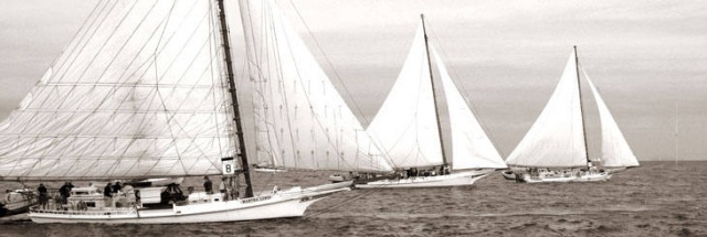 Taken by Randy during the Skipjack races on Deal Island, MD