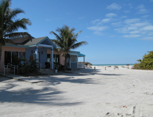 The South Beach Bar and Grill, I got this from their website. The day we were there, the lot was overflowing and parking was hard to come by anywhere.