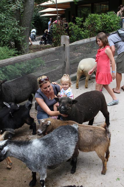 Playing in the Children's Petting Zoo