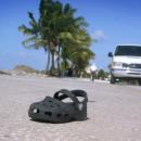 View The Trophy Shoes Album